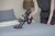3827_EVOLUX MAX_04.jpg